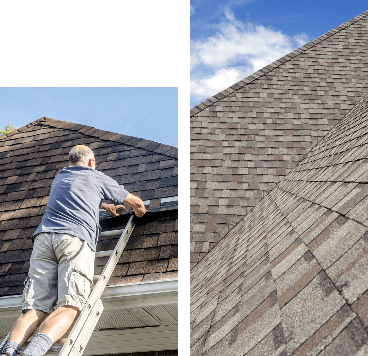 Close-up of brown shingle roof