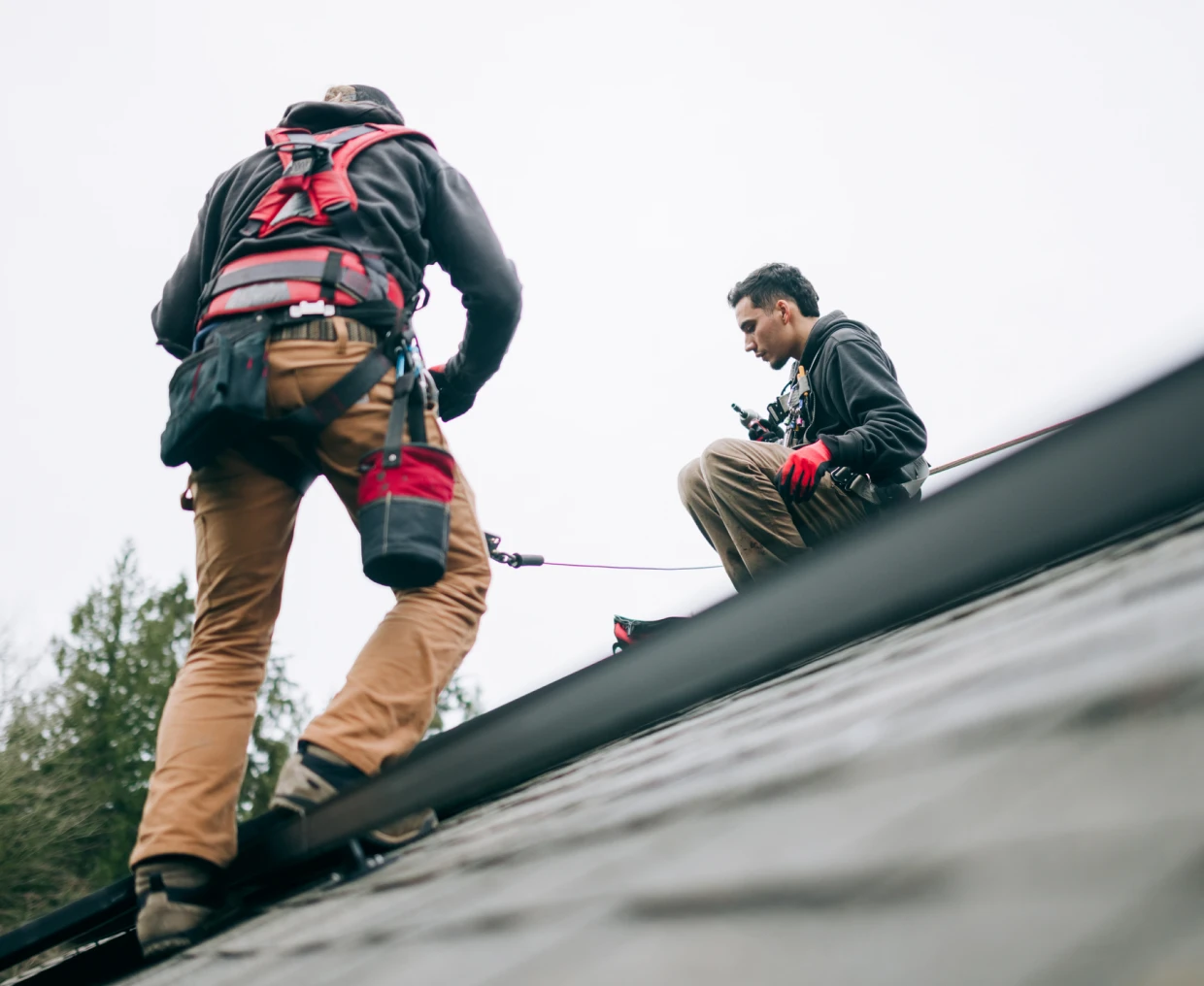 Roofers securing themselves with harnesses